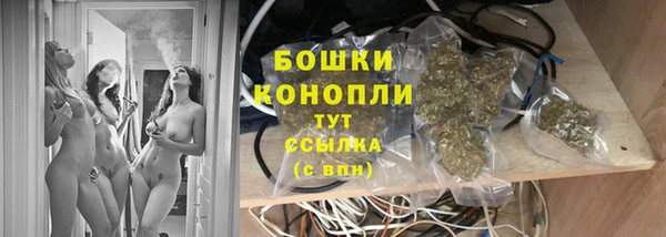 дмт Белокуриха