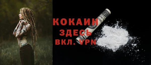 дмт Белокуриха