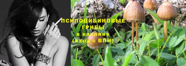 дмт Белокуриха