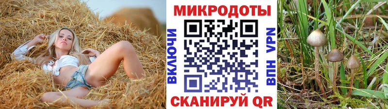 Купить где Гаврилов Посад Галлюциногенные грибы прущие грибы