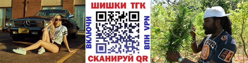 Купить закладки  Гаврилов Посад  Бошки Шишки планчик 
